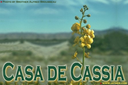Casa de Cassia