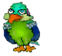 Main Bird Page